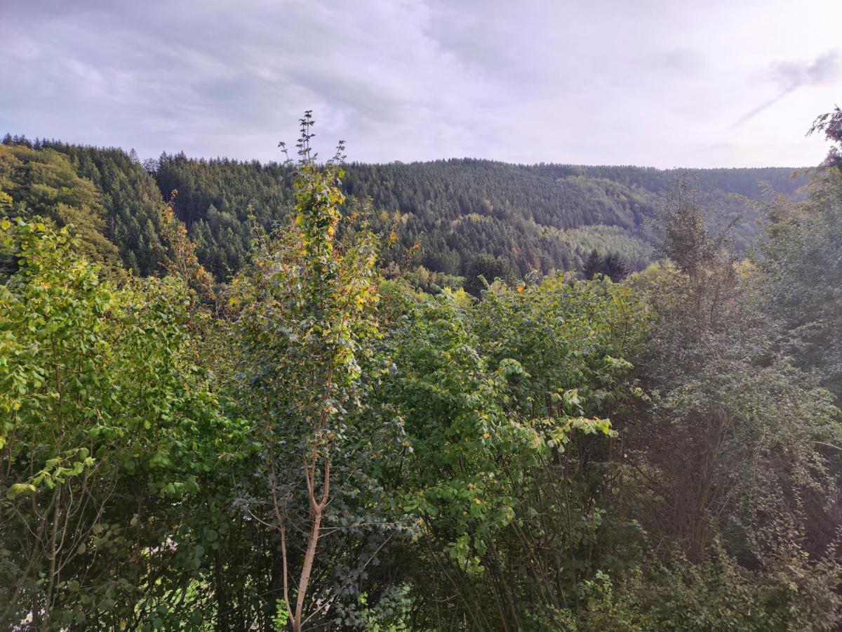 Wohlfuehloase Eifelsteig Vila Simmerath Exterior foto